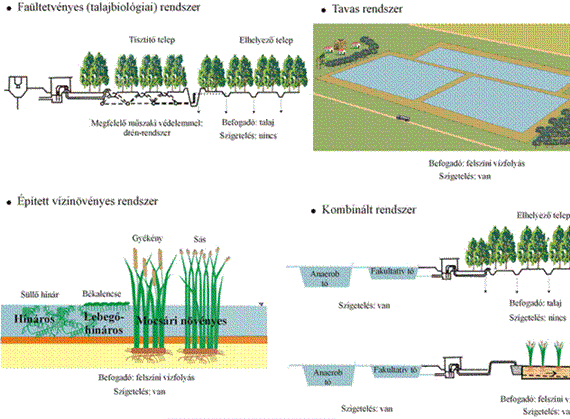 A létesített vizes élőhelyek szerepe a szennyvíztisztítás-ban kedvezően alkalmazhatók települési nyers szennyvíz teljes biológiai tisztítására, vagy biológiai (mesterséges, természetközeli)