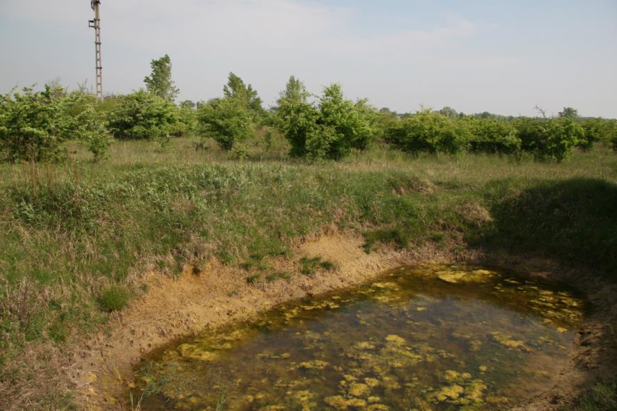 Vizes élőhelyek