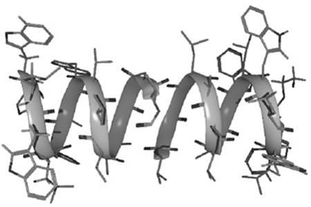 Hormon hatású anyagok csoportosítása Kémiai szerkezet alapján: Kifejtett hatás alapján peptidek szteroidok Anyagcsere befolyásolók: pl.
