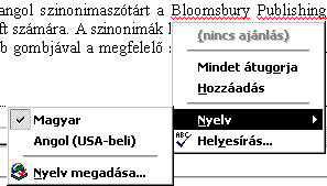 WORD SZÖVEGSZERKESZTÉS 43 Ellenőrző eszközök A korábbi nyelvi ellenőrző eszközök lehetőségeit is továbbfejlesztették.