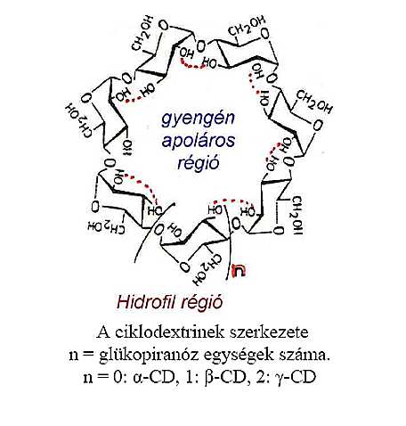 Dextrán Ciklodextrinek (CD, Schardinger dextrinek) Szerkezete: elágazó láncú glükóz polimer, mint az amilopektin, de: a kötések túlnyomó része (1-6), mellette kevés (1-4), (1-2) és (1-3).