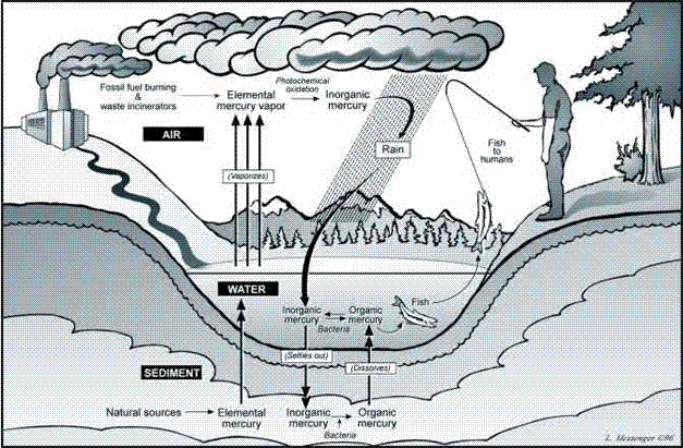 Higany Természetben: Toxcitás: Vulkáni tevékenység