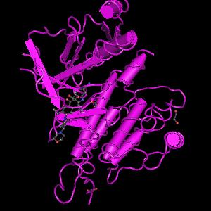 Anaplastic Lymphoma Kinase struktúrája és szerepe apoptosis sejtmozgás Inzulin-receptor