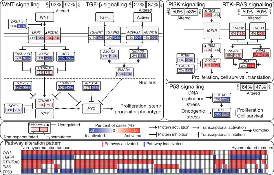 Genome Atlas Network Nature