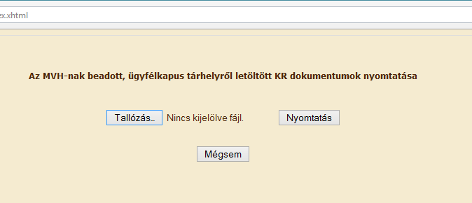 17. Javasoljuk, hogy nyisson egy külön mappát az elektronikus kérelmei számára. Adja meg a mentés helyét és kattintson a Mentés gombra. 18.