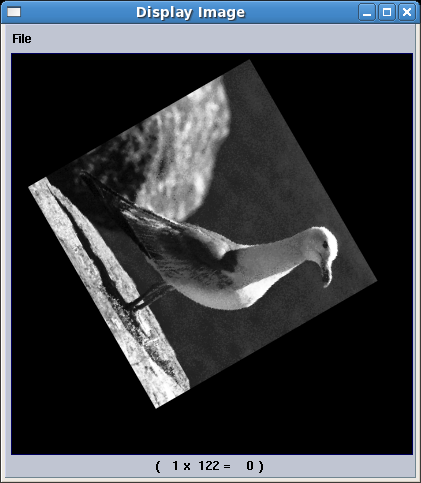 Egyszerű képmanipulációk Tükrözés Az első képmanipuláció legyen az, hogy a sirályos képet tengelyesen tükrözzük. Ehhez használjuk a Glyphs Image proc Geometric Operators Flip Image dobozt.