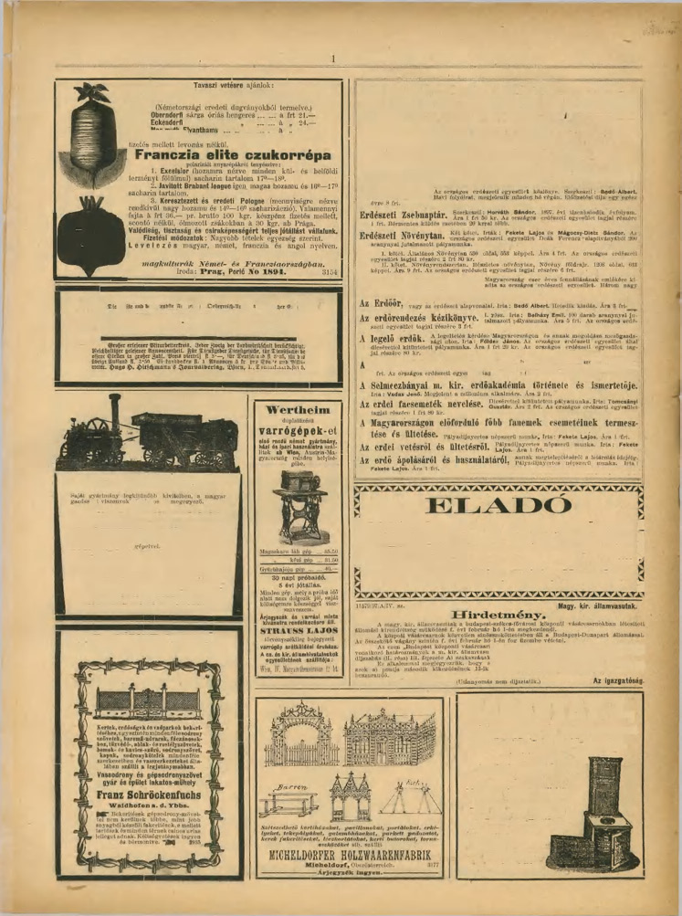 11. SZÁM. 7-IK ÉVFOLYAM. KÖZTELEK,! 897. FEBRUÁR HÓ 6. 185 Német elite-tarlórépát \i Országos Eídészeti Egijesiiletnéi BUDAPEST, V. kerület, Alkotmány-utcza 10.