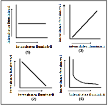 12. Care dintre graficele din figura C ar putea corespunde modificării intensităńii fotosintezei în condińiile creşterii treptate a temperaturii apei de la 18 O C la 28 O C pentru experimentul nr.