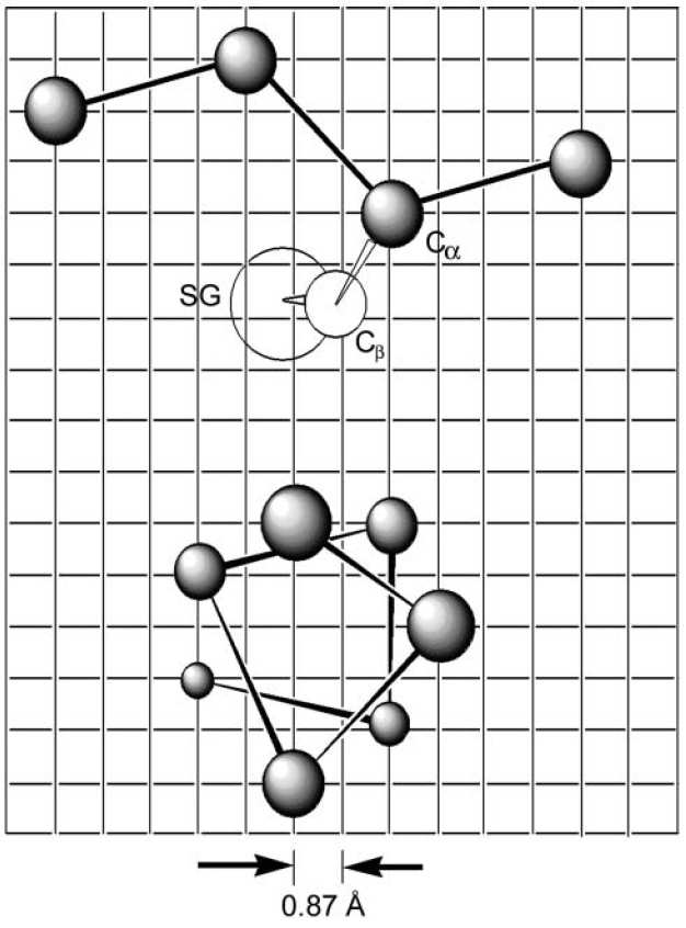 CABS modell (Zhang- Kolinski-Skolnick 2003) Atomok egy 0,87 angström