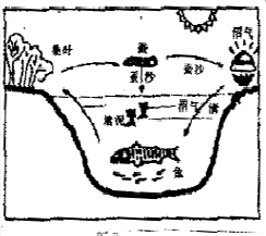 aranyhalainak (Ming dinasztia kora 1368-1644).