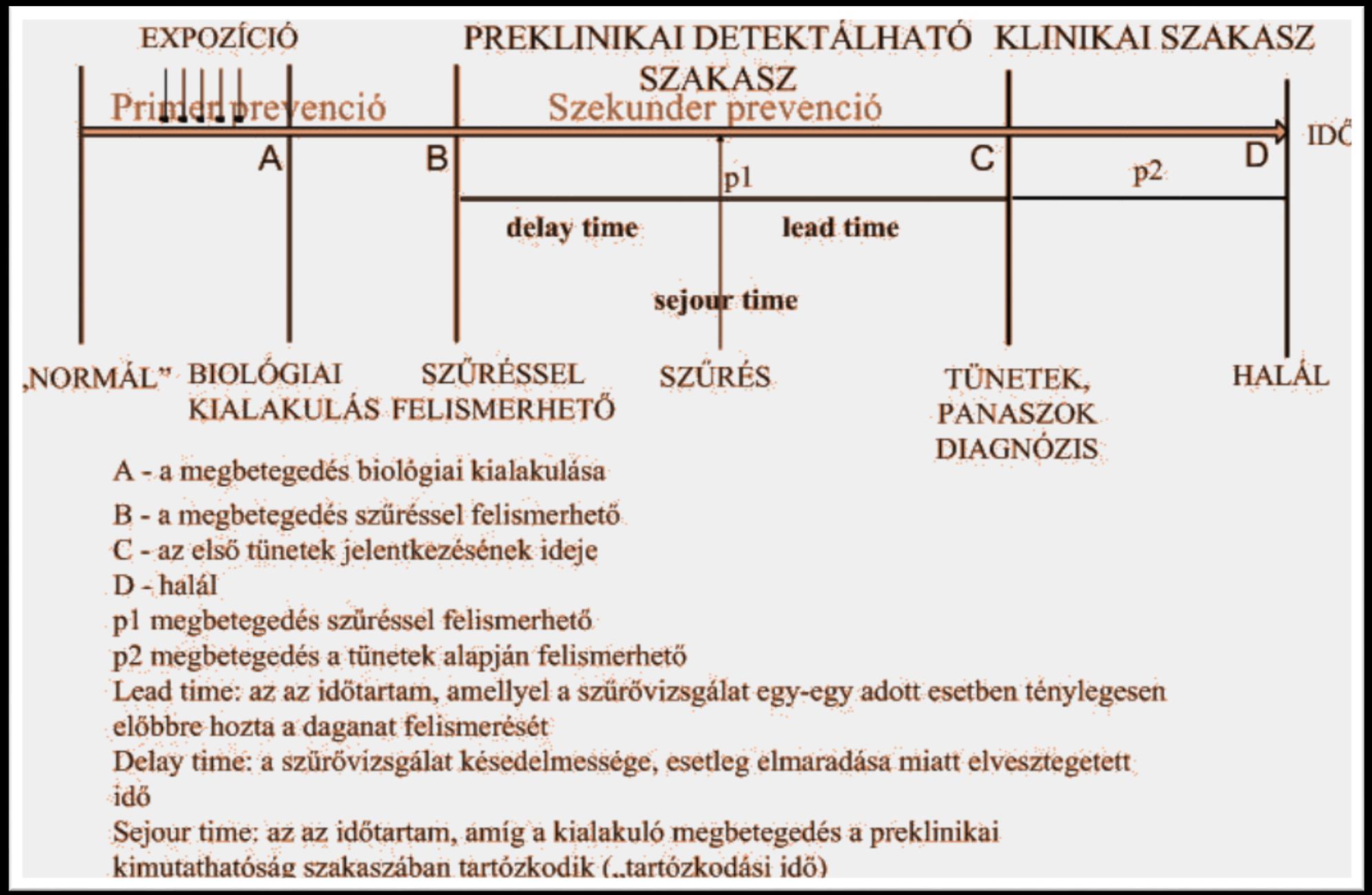 A BETEGSÉGEK FEJLŐDÉSMENETE (NATURAL