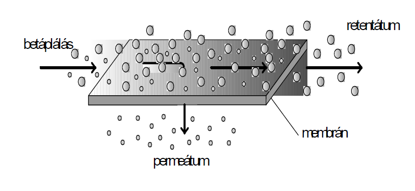 4. Membránok általában szintetikus polimerek, a legismertebb közülük a celofán.