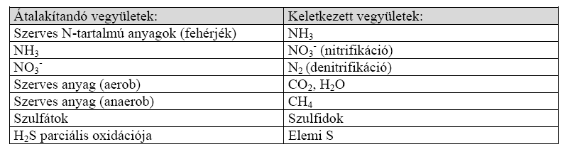 Példák: szerves anyagok átalakítása, aerob körülmények között, miközben CO 2, H 2 O, (NH 3 kismennyiségben) képződik - oxidáció (megsemmisítés) szerves anyagok átalakítása anaerob körülmények között,