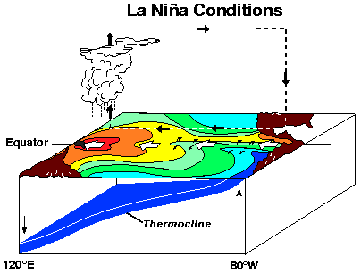 La Niña A normálisnál hidegebb a tengerfelszín.