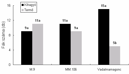 12. ábra. Az alternancia egyes ciklusaiban lévı fák száma 33 almafajta átlagában különbözı növekedési erélyt képviselı alanyokon (Nagykutas, 2003-2007. átlaga).
