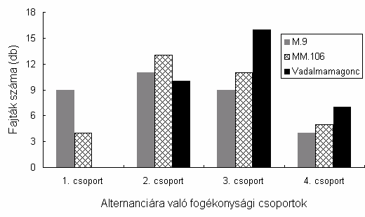 13. ábra. A vizsgálatba vont fajták számának megoszlása az alternanciára való fogékonysági csoportokban különbözı növekedési erelyő alanyokon 5.1.2.