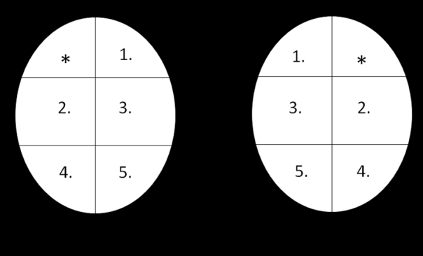 A kétoldali patkány SMG véráramlás homogenitásának vizsgálata Az SMG véráramlás homogenitásának vizsgálatára mind a jobb, mind a bal oldali submandibularis nyálmirigyet feltártuk 11 kísérleti