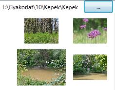 Ha a bélyegképek felé visszük az egeret, akkor a kép meg kell növekedjen kissé egy animáció segítségével, majd az egér eltávolítását követően vissza kell zsugorodjon az eredeti méretére.