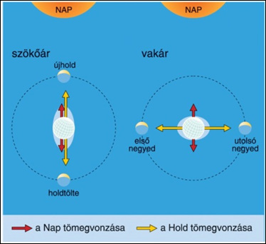 földrajz-07-03 2/3 1.KÍSÉRLET: HOLDFÁZISOK KIALAKULÁSA (folytatás) Tapasztalat A Hold fényváltozásai a Nap-Föld-Hold helyzettől függnek.