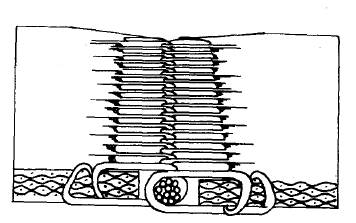 Anyagmozgató gépek általános elemei a. textilbetét (cord), b. szövetszerkezet, c. közbülső gumiréteg, d. alsó borító gumi (görgő oldalon), e. nagy kopószilárdságú és rugalmas oldal védőgumi felső, f.