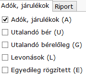 B é r s z á m f e j t ő p r o g r a m 37 1.2. Riport A Riport fülre kattintva elkészül az éves összesítő kimutatás.