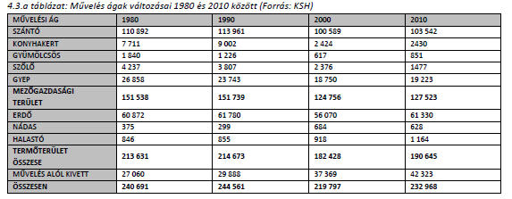 ELMÉLET Egyéni érdek - közösségi érdek a közösségi