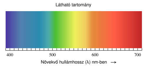 A spektrális érzékenység maximuma 540 nm (sárgászöld).