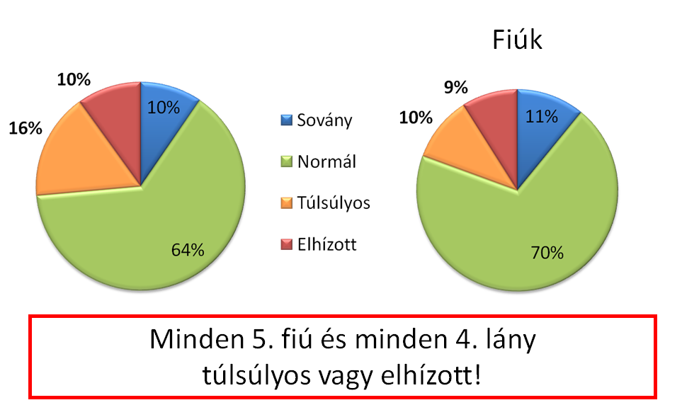 Túlsúly és elhízás előfordulása 7 éves korú gyerekeknél* a