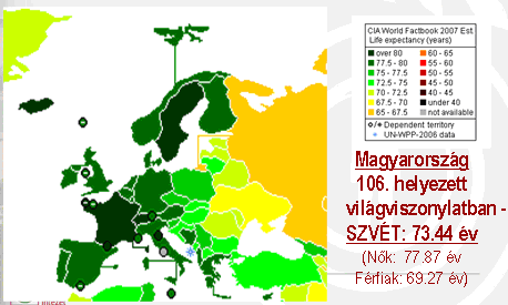 2009 2008 2007 2006 2005 2004 2003 2002 2001 2000 szolgáltatók aránya, vagyis nem beszélhetünk nemzetközi versenyről.