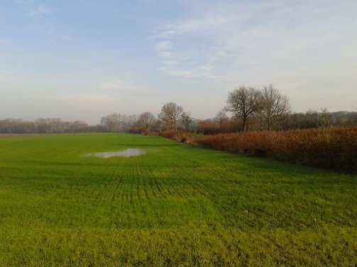 Tájhasznosítás A táj egyidejűleg sokféle szükségletet elégít ki. A tájhasználat ezért igen változatos. Egyszerre több tájhasználati mód megjelenését eredményezi.