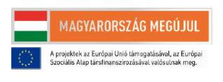 d VAS MEGYE GAZDASÁGFEJLESZTÉSI FÓKUSZÚ TERÜLETFEJLESZTÉSI
