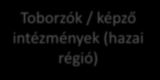 munkakapcsolatok ellenőrzése Teljesen internet-alapú álláshálózat, összeköti a munkaerőpiac összes szereplőjét - Személyre szabható, funkcionális kezelő felületek több nyelven jelentkezők Toborzók /