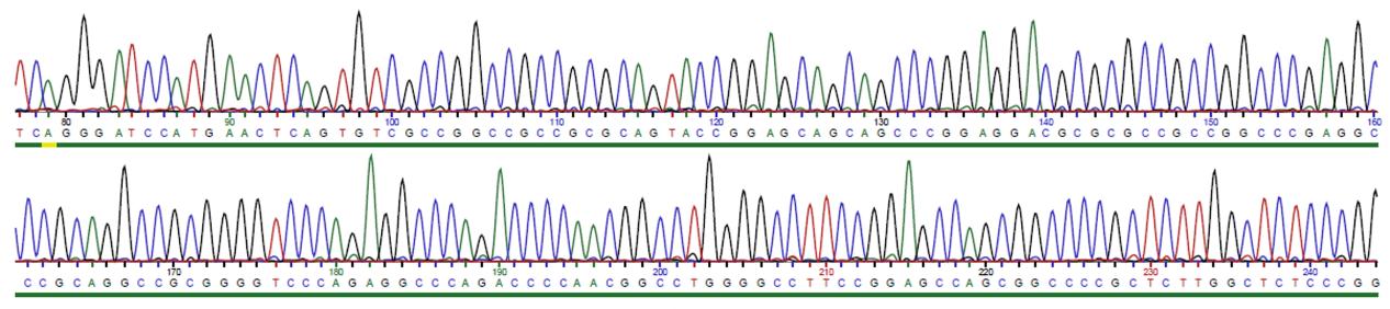 T, zöld = A, sárga = G, kék = C. Egy automata szekvenálás eredményét (szekvenogram) az 5.