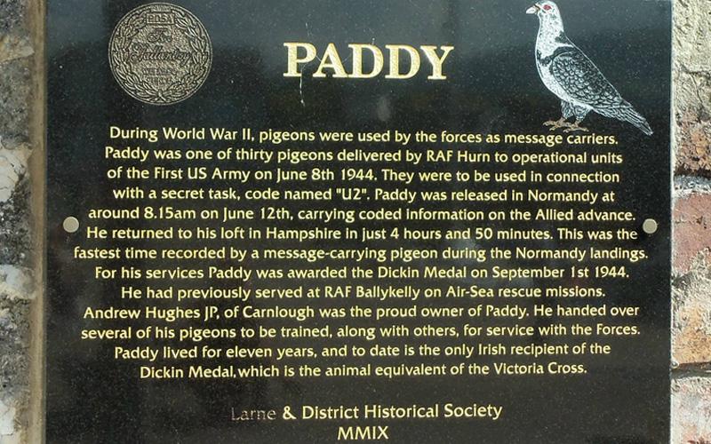 Paddy (NPS.43.