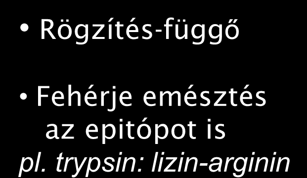 Trypsin 8 15 20 17 Proteáz emésztés: Rögzítés-függő Fehérje