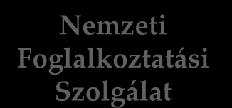Magyar Nemzeti Foglalkoztatási Szolgálat felépítése 2012. január 1.