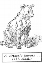 169 legyen. És mekkora háborgás, milyen megmérhetetlen szénvédés ebben a hópehelyben, az emberben. 1908 november 28. Itt van újra.