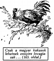 177 Soha embert nem hallottam anynyit szidni és gyalázni, mint őt, amíg élt. Ma a szobrára gyűjtünk. Míg élt: a szó szoros értelmében kiüldöztük az életből. Rajec, 1910 június 28.