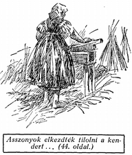 89 látom magam: mint egy magamon kívül álló lényt. Kí miben bűnös, abban bűnhődik, íme én, aki annyit szerettem, most ilyen egyedül vagyok.