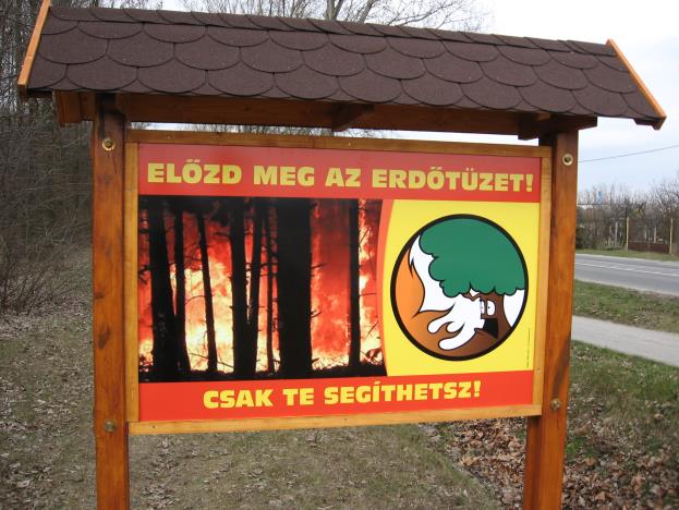 Köszönöm a