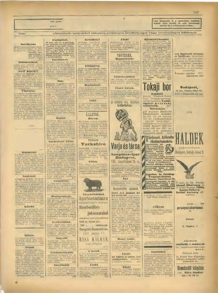 41. SZAM. 7-IK ÉVFOLYAM. KÖZTELEK, 1897. MÁJUS HÓ 22 ^ ^ j k s I KIS HIRDETESEK.