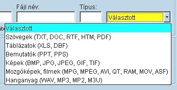 A kapcsolt fájl keresésében a következő mezők vesznek részt: - Fájl megnevezése : Ez az általunk szabadon adható név (ez eltérhet a fájl lemezen lévő nevétől) - Lemez : Megadhatjuk azt is, hogy a