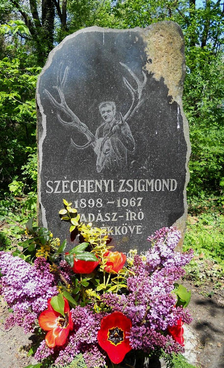 Az Erdők Hete alatti rendezvényünkön a Sárpentelei erdő túrán sokan vettek részt és nagy érdeklődéssel tanulmányozták az ottani élővilágot, s Széchenyi Zsigmond életét.