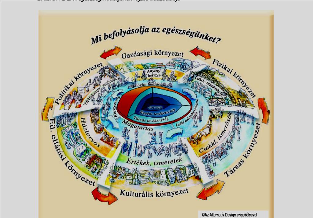 dr. Hetényi László GYOFTEX