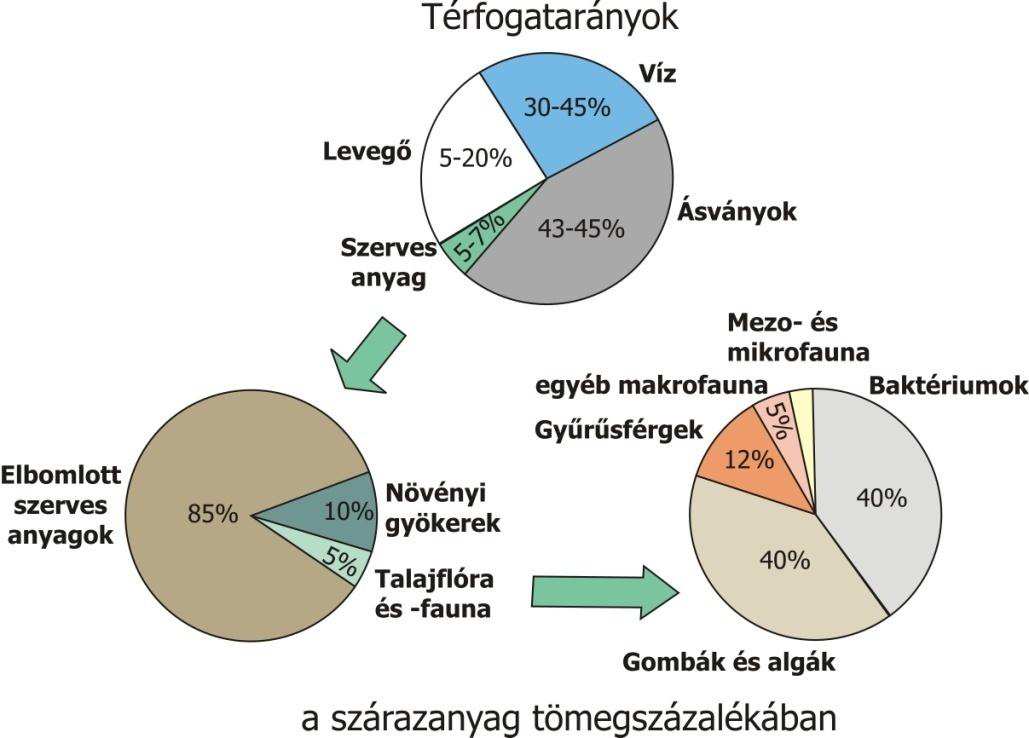 A talaj alkotórészei