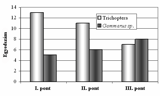 1. Ábra. Vízi gerinctelenek megoszlása a Hesdát-patakban, a júliusi minták alapján Az októberi hónapban a tegzesekből volt a legtöbb egyed (31) a mintákban, majd őket követték a bolharákok (19).