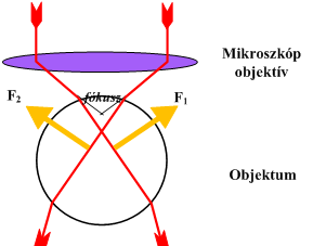 FELÜLETEK REZGÉSI SPEKTROSZKÓPIÁJA minta síkjában (xy) erőgradiens lép fel, amely a részecskét a folt centrumába húzza vissza.