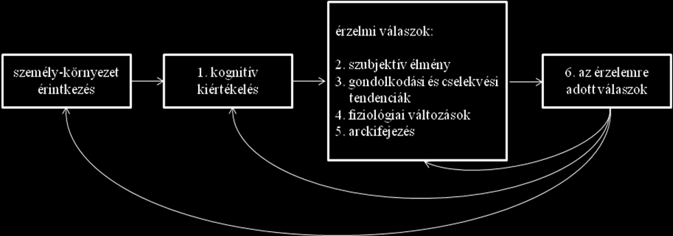 Bagozzi és szerzőtársai (1999) munkájukban súlyt fektetnek az érzelem társadalmi vonatkozásainak megismerésére is.