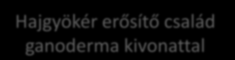 Hajgyökér erősítő család Hajgyökér erősítő sampon és balzsam ganoderma ganoderma kivonattal