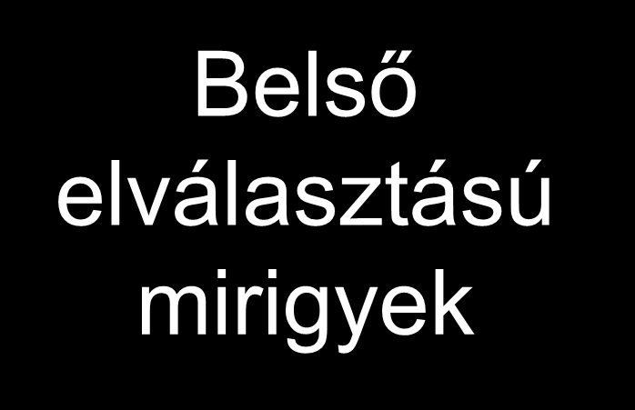 Belső elválasztású mirigyek = nem a test felületére,